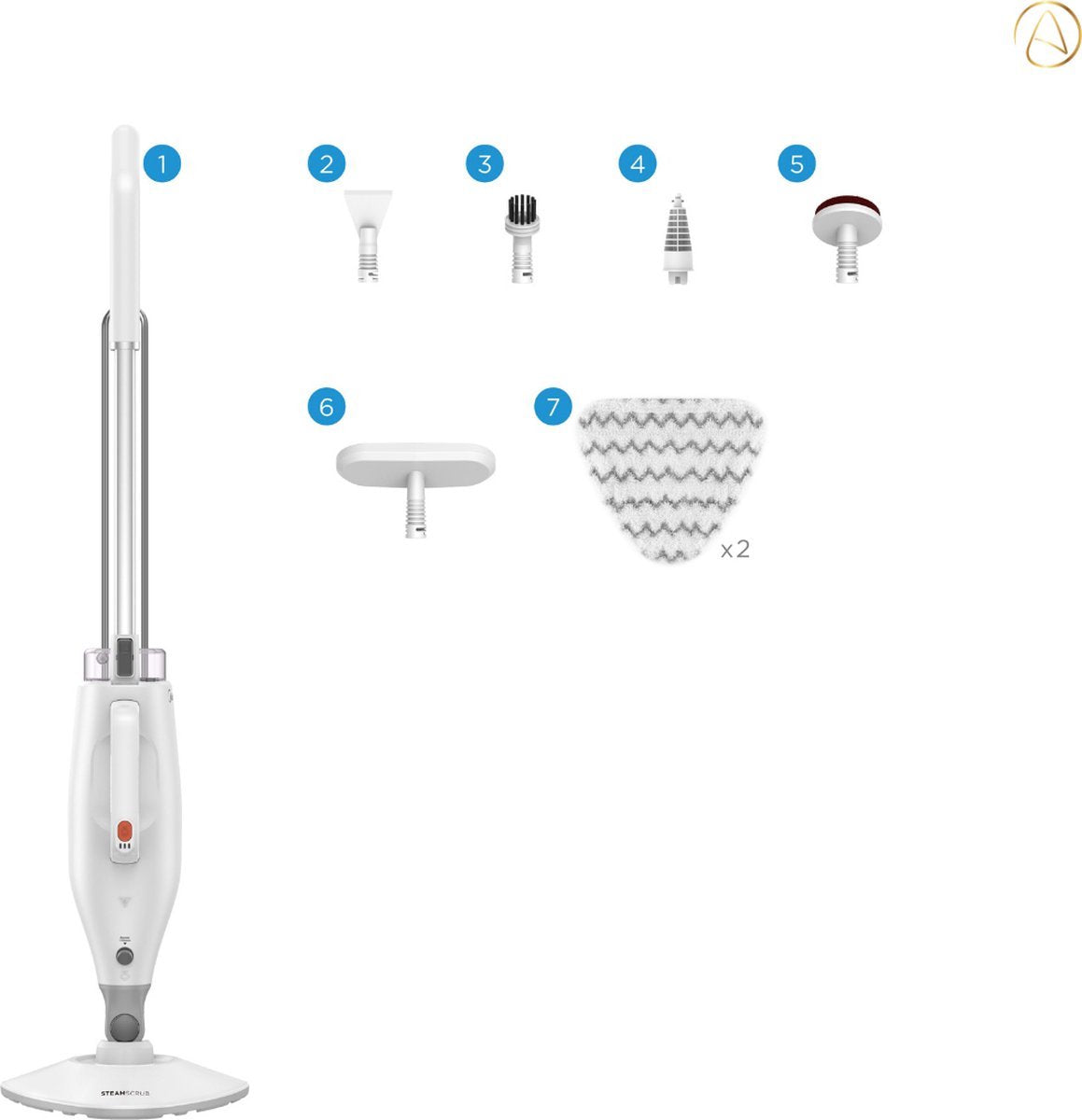 Vacuum cleaner - Steam cleaner - Mop - Floor mop - Floor wiper - Spot cleaner - Steam appliance - Floor - Carpet - Kitchen