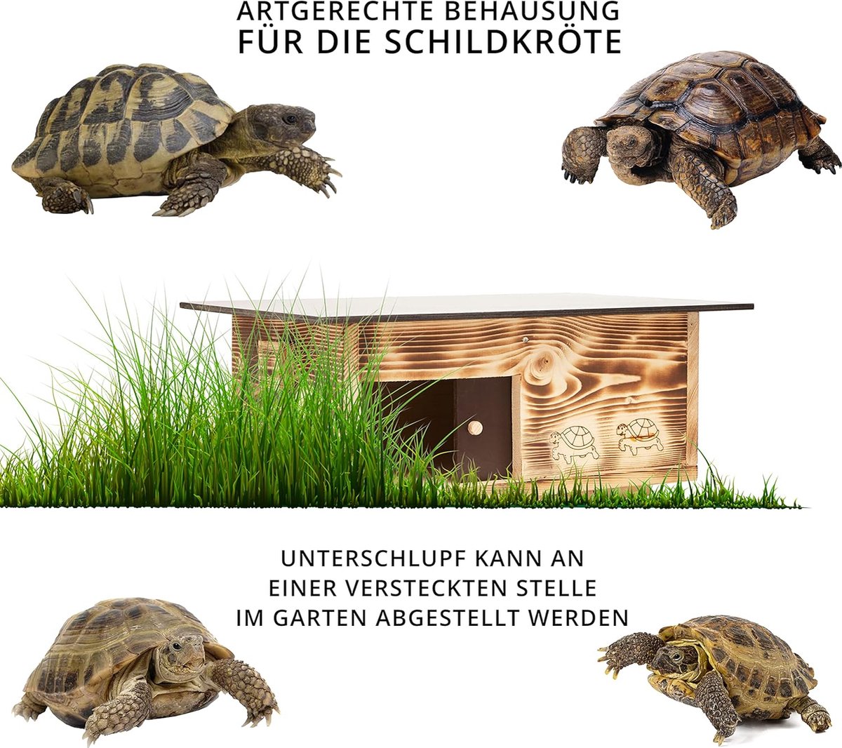 Turtle Enclosure - Turtle Terrarium - Turtle Aquarium - Turtle - Turtle Tank