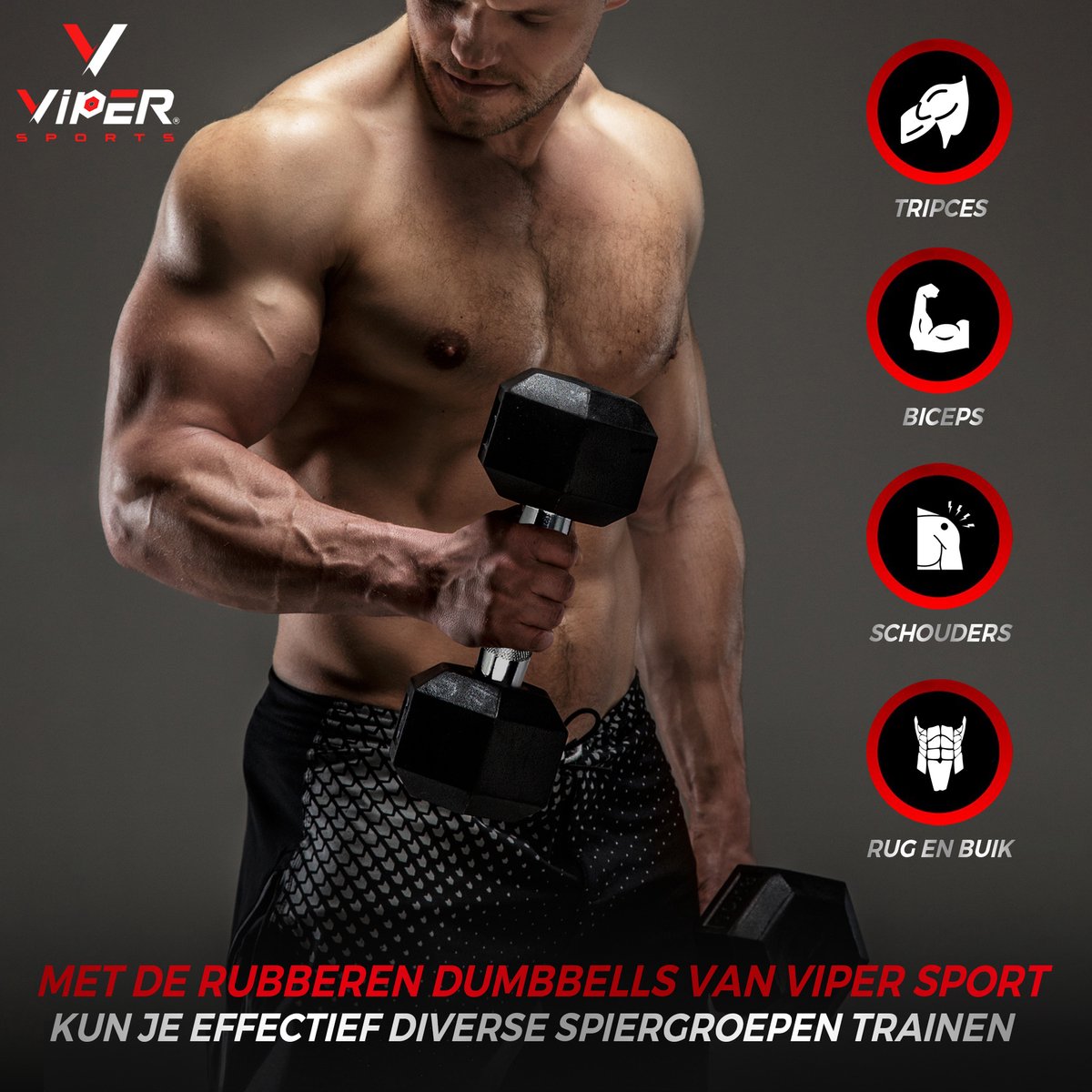 Viper Sports IJzer Zwart Gewicht 22.5 kg – Dumbbells – Antislip – Zeshoekig ontwerp – Hexagon-Design - RVS/Rubber – Zilver/Zwart - 1 Stuk
