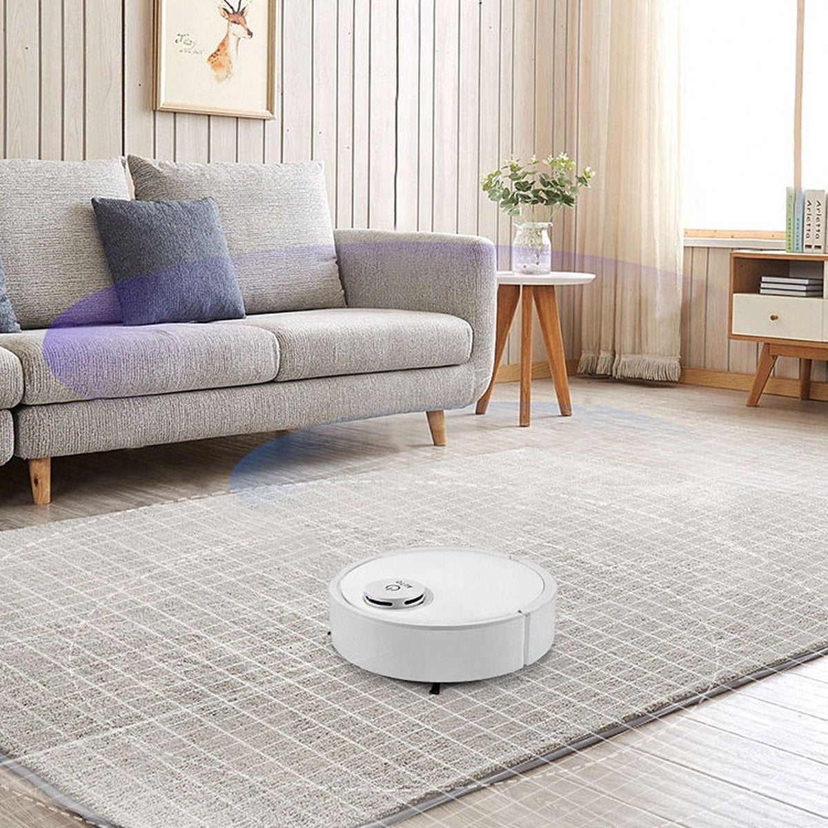 Slimme robotstofzuiger - Robotstofzuiger Automatische reiniging - Robotstofzuiger - ES300