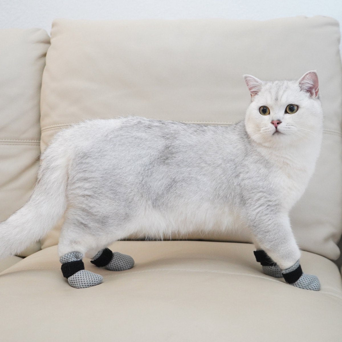 Krab Bescherming Katten - Nagelhoesjes Kat - Anti Krab Katten - Kattennagels - Maat L - Zwart