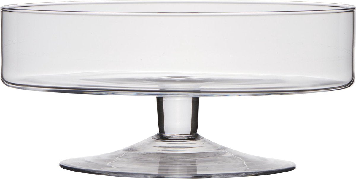 Schaal Steve H13 D29