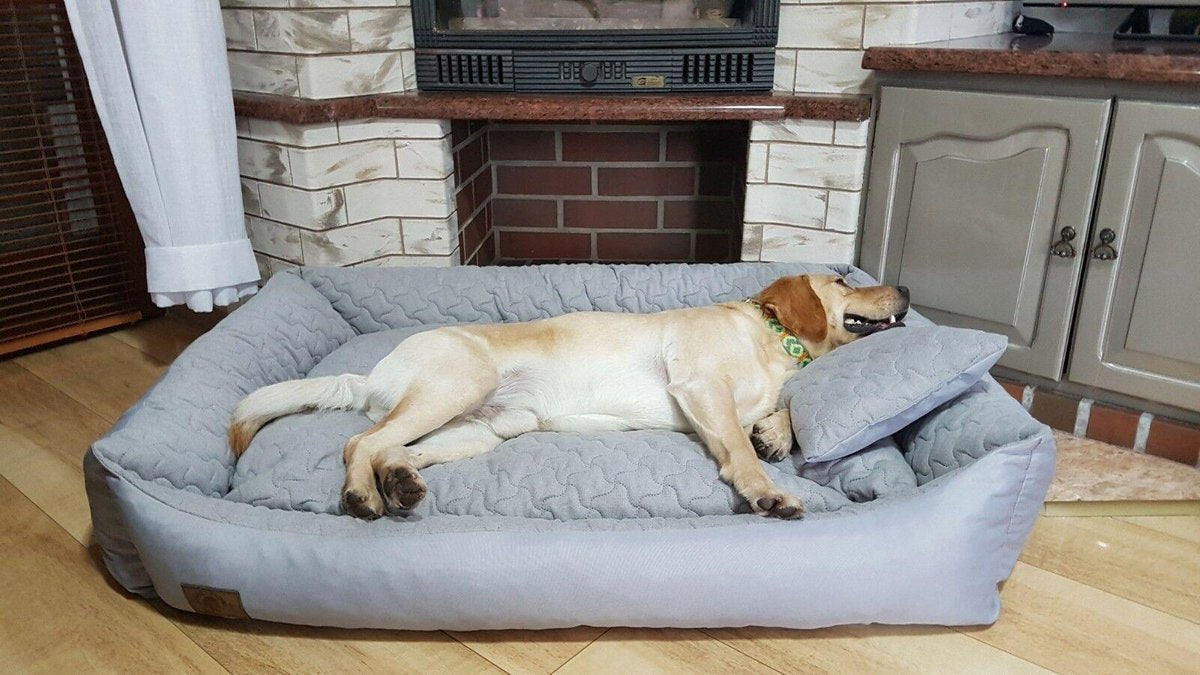 Dog bed XXL - 120x90 cm - water repellent - light grey