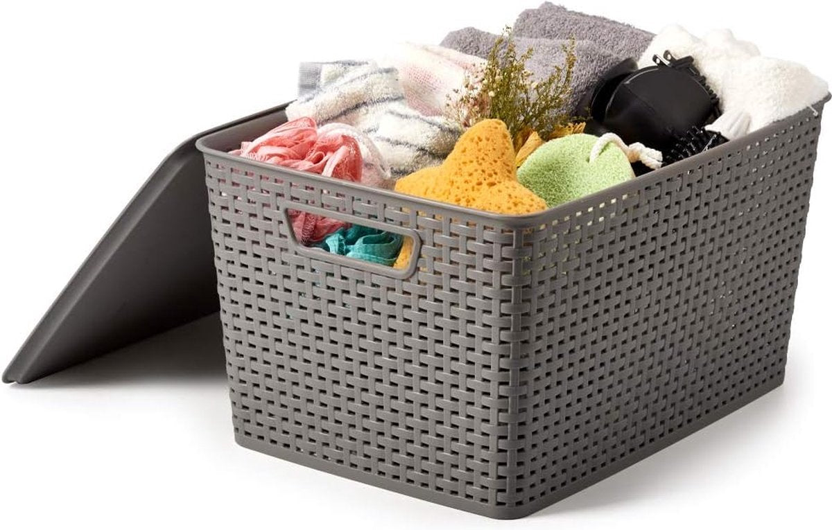 20 l opbergmand met deksel van kunststof, 5-delige set, mand, opbergkist in rotanlook voor keuken, kledingkast, kast