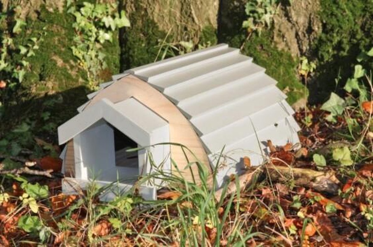 Hedgehog shed with access tunnel