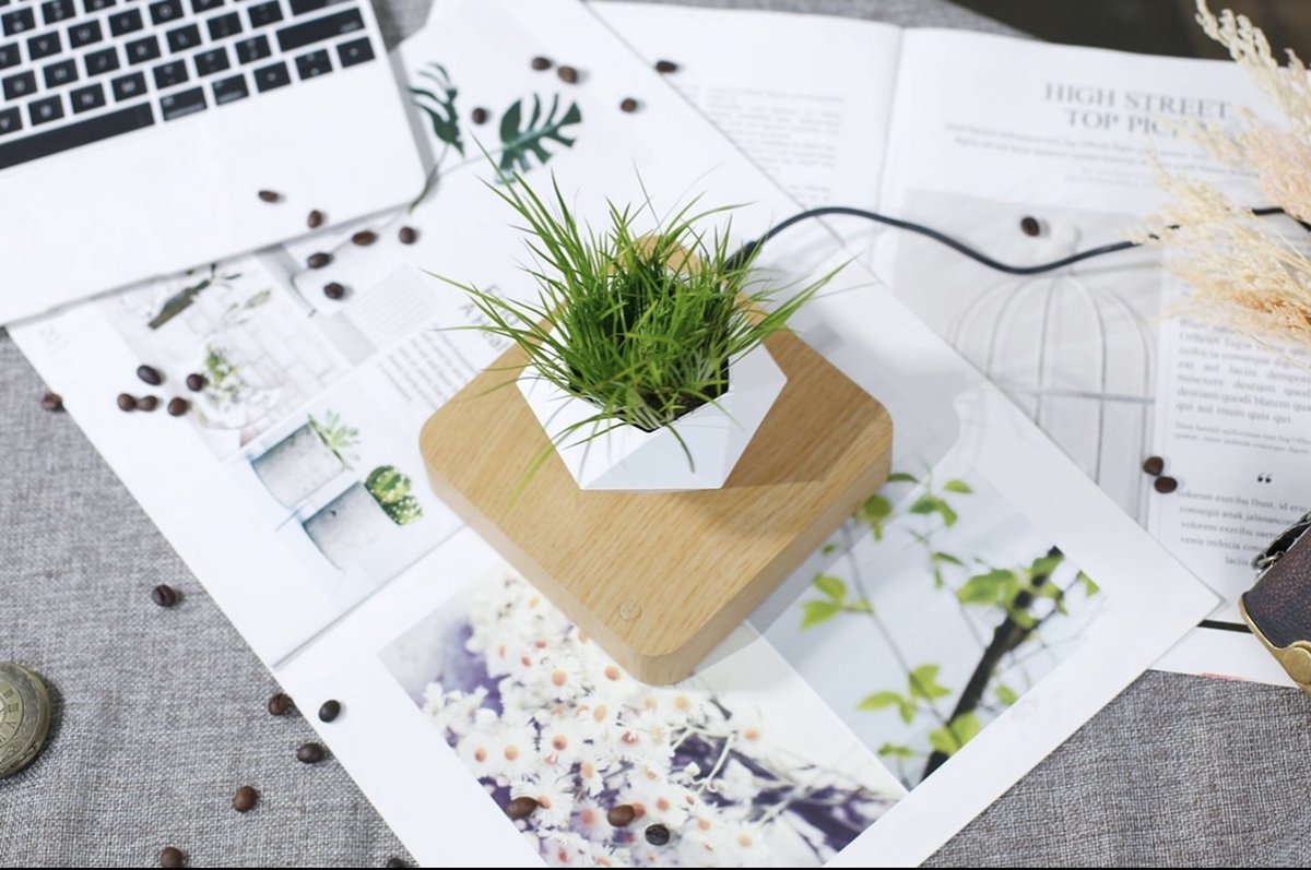 Floating flower pot - Floating plant - Magnetic - Indoor flower pot - Modern decoration - Light brown base