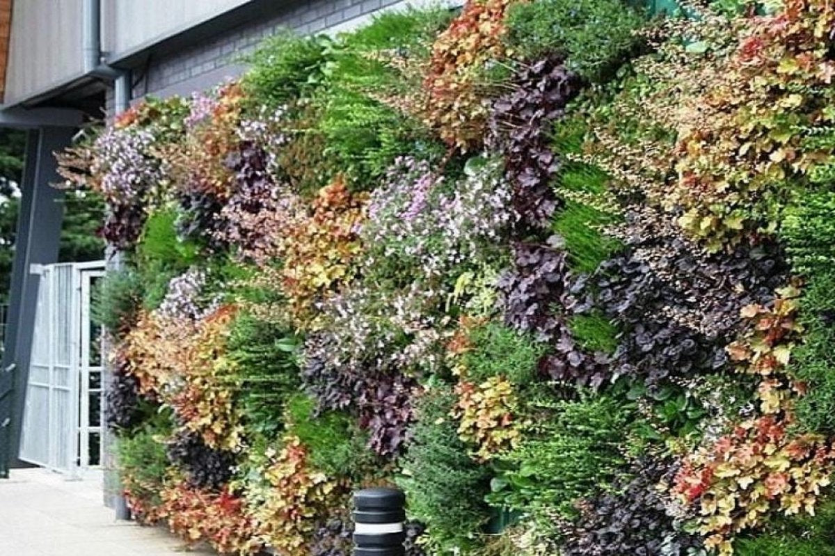 Verticale tuin met 35 extra grote vakken - 165cm x 100cm - verticale tuin - zwart - groene wand - groene muur - verticale moestuin zakken - plantenhanger balkon - plantenbak - plantenzak 1.65x1 meter Beactiff®
