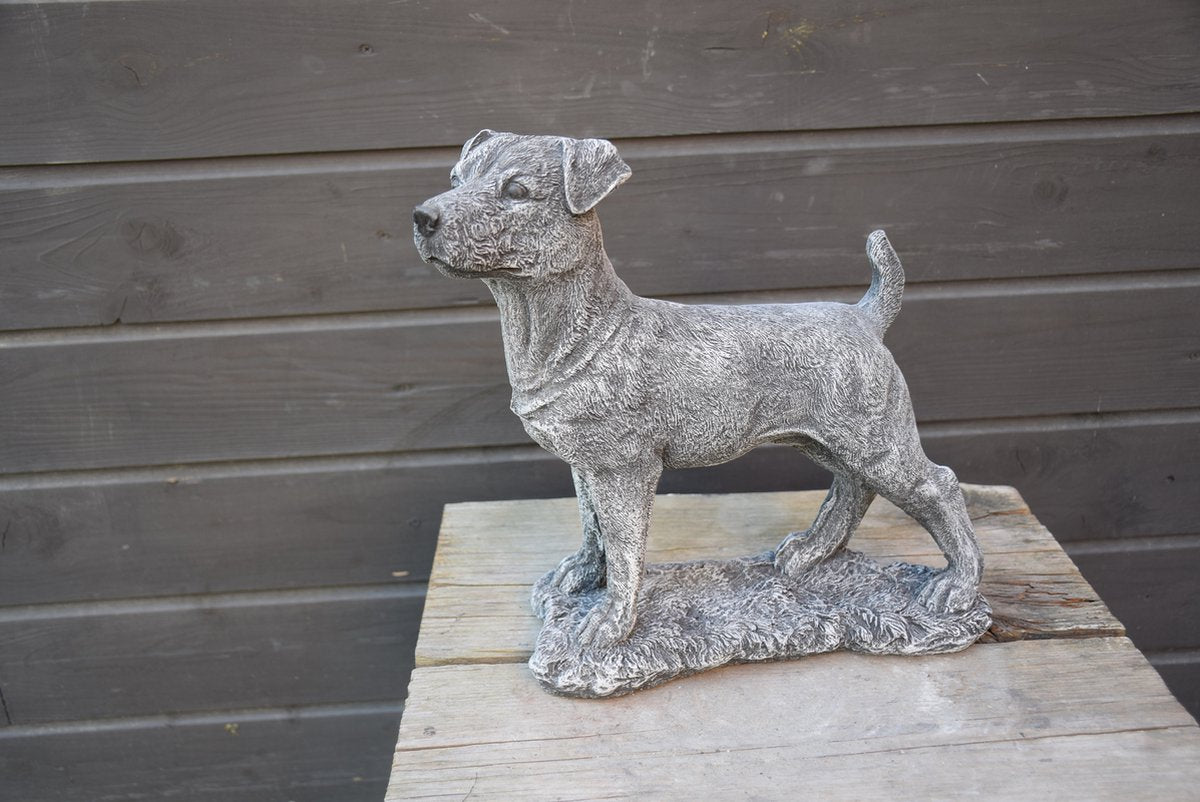 Jack Russell, beeld voor binnen of buiten