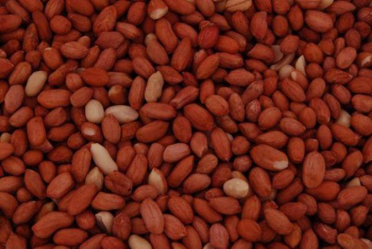 Shelled Peanuts 25kg - Wild Bird Food