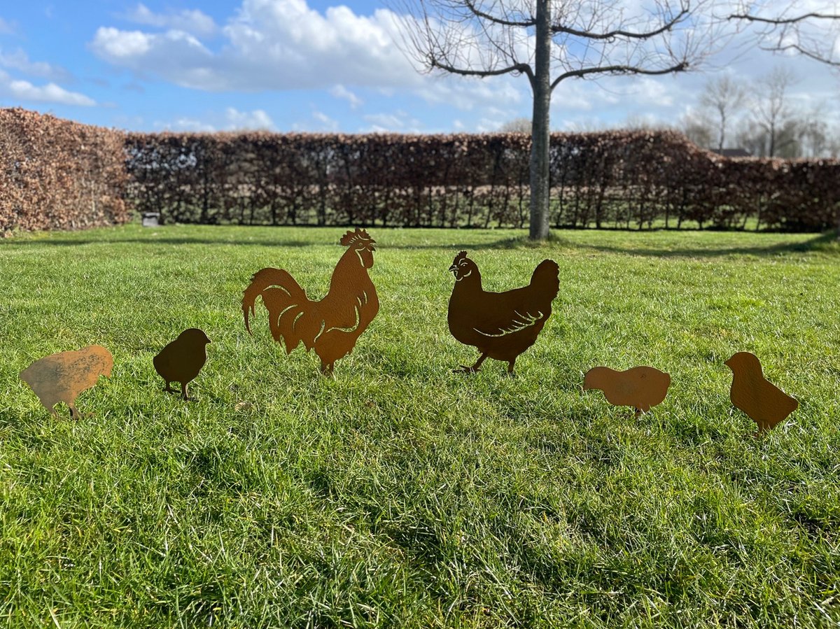 garden decoration, garden statues for outdoor, corten steel (rust), corten steel, garden stake, rooster with hen and 4 chicks, metal, steel