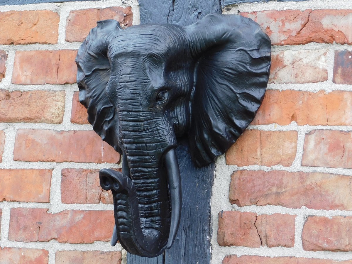 Zwarte olifantenkop - Wanddecoratie - Polystone
