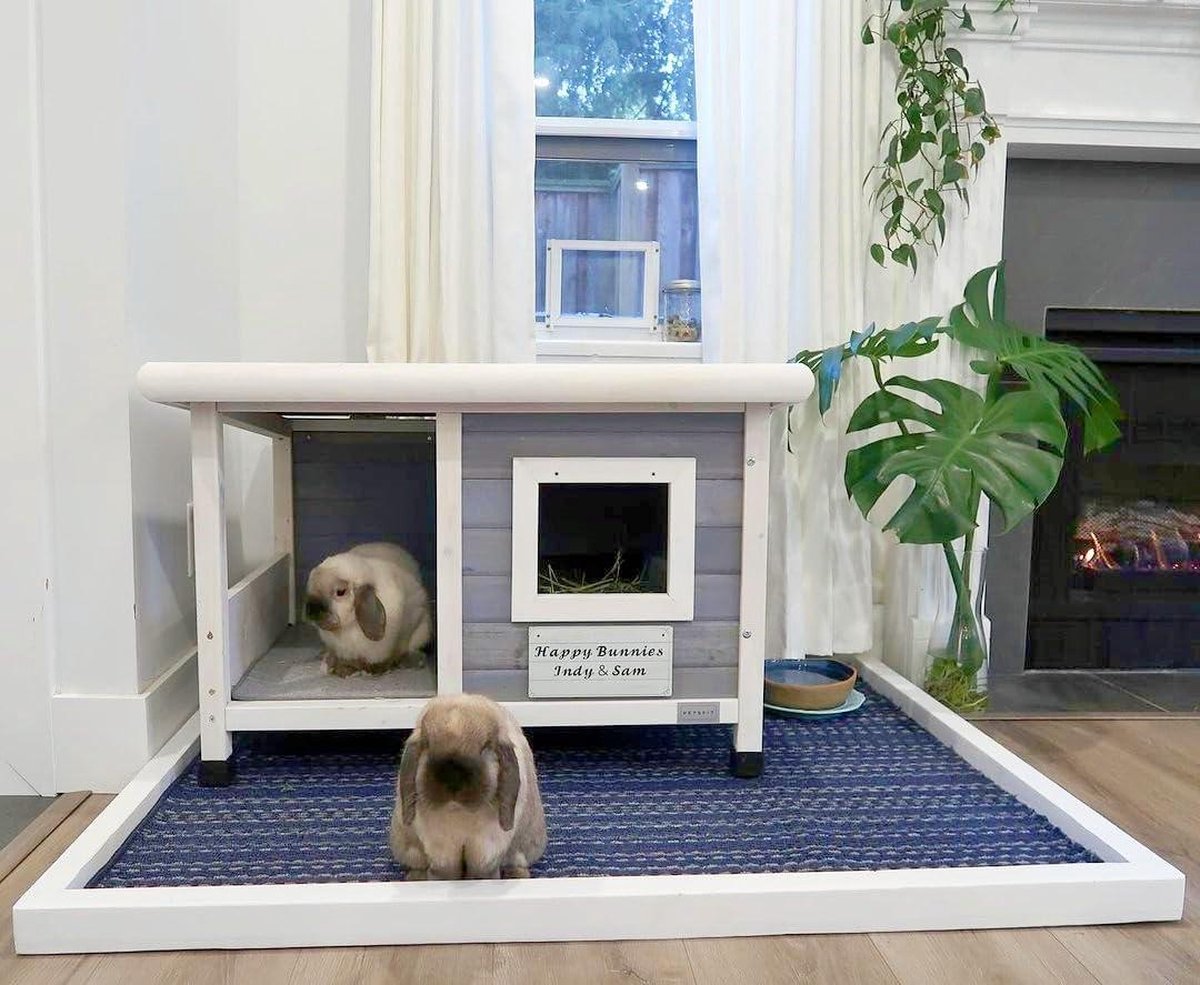 Wooden Cat House Outdoor Cat Kennels - One Room and Lounge - Asphalt Roof - Outdoor Dog Houses