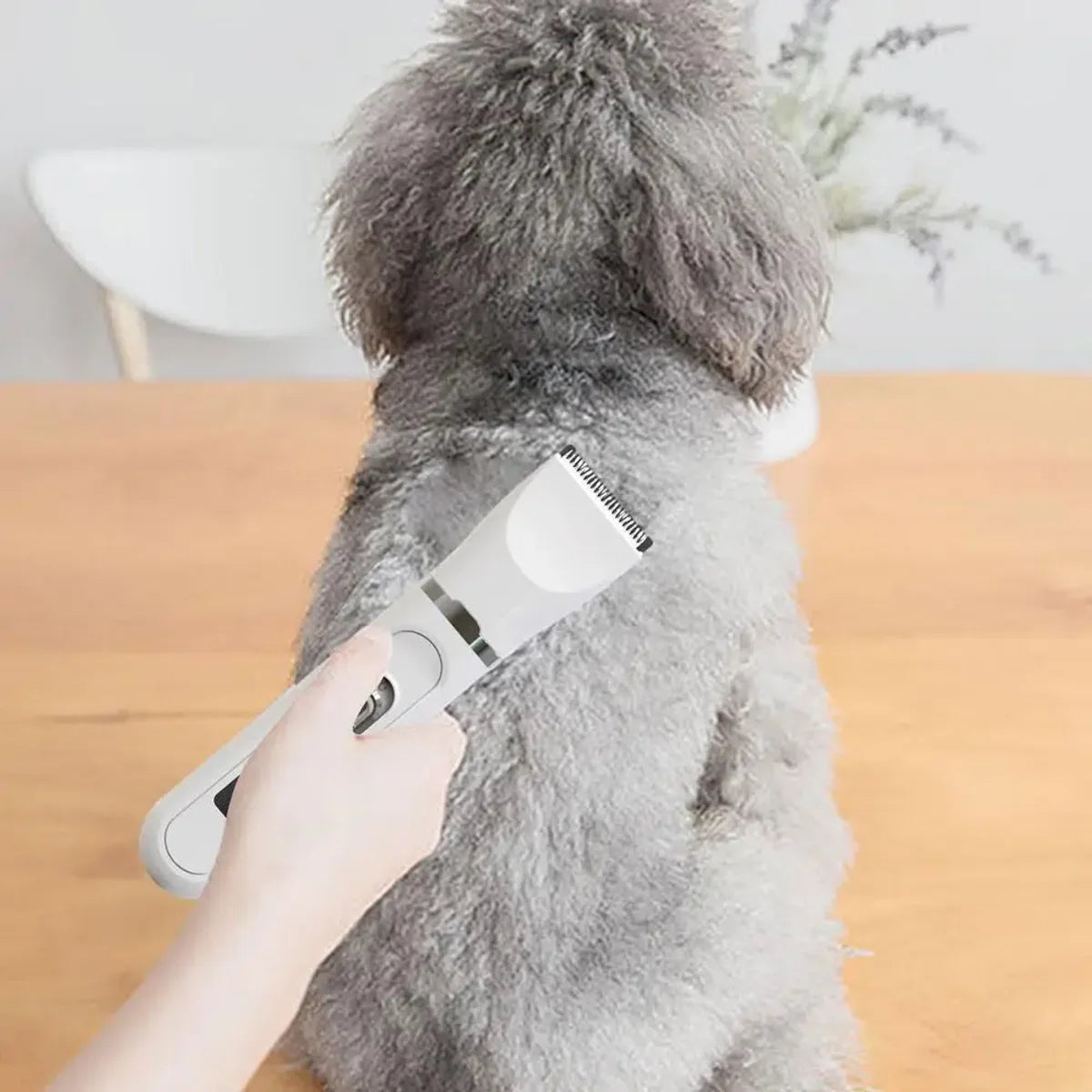 Hair trimmer - Pet hair remover - 3 Pieces Pet Clippers White Small Dog Shaver Ceramic