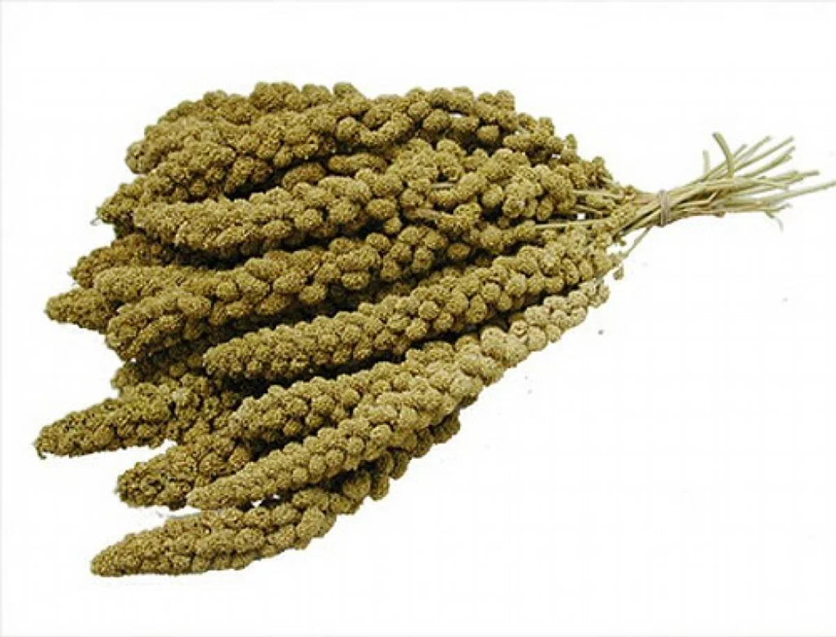 Trosgierst Chinees - 15 Kg