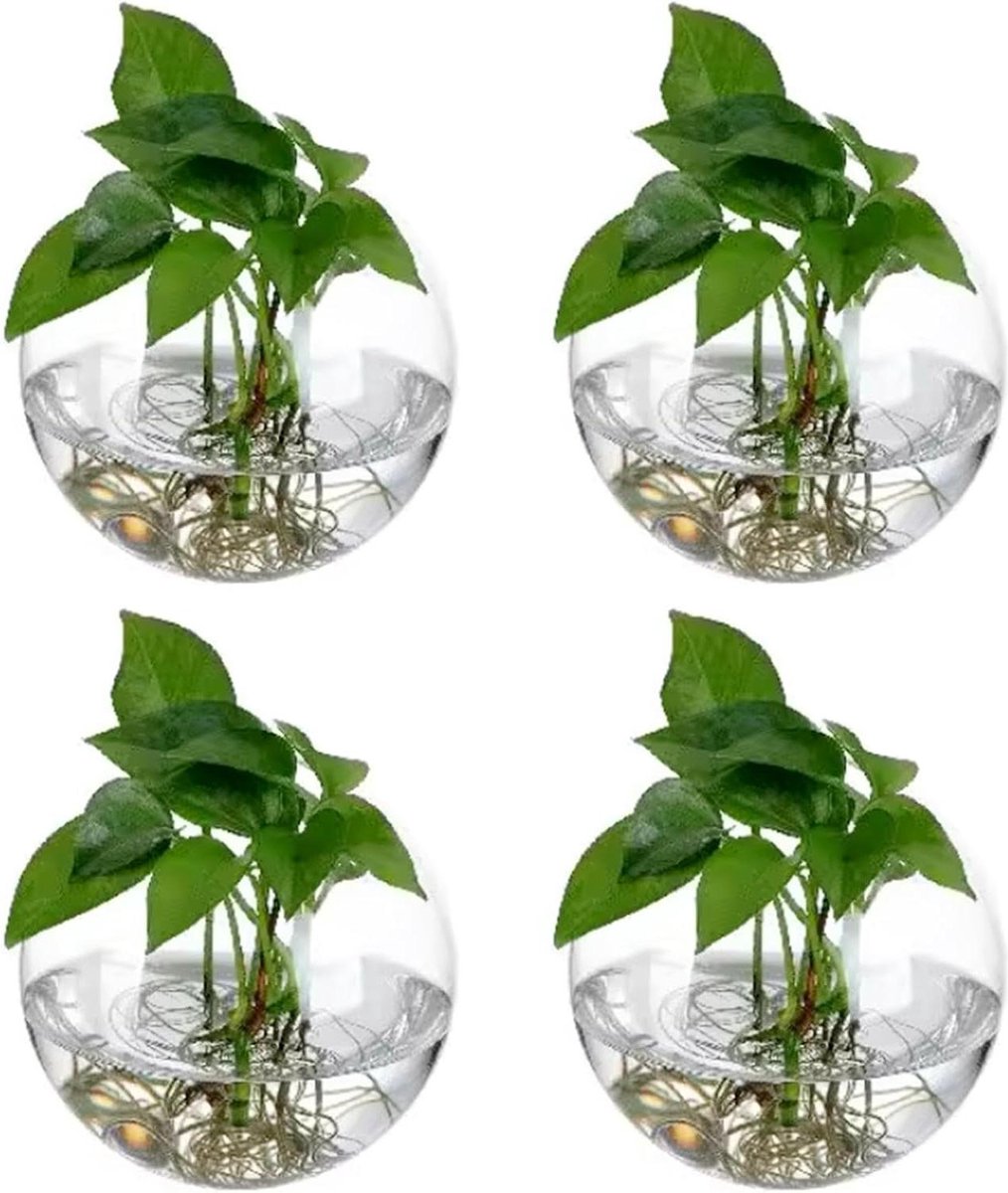 Hangende bloempotten - Set van 4 stuks - Glazen flessentuin terrarium voor binnenplanten - Bubble wandvaas 10 cm - Geschikt voor vetplanten, bloemen en aquaria Bloempot