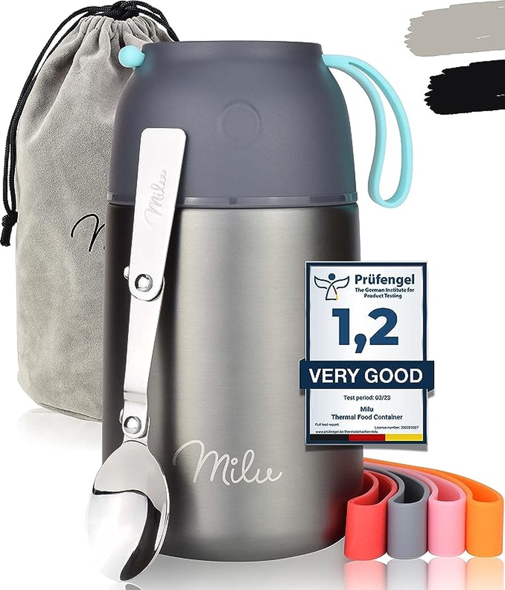 thermo lunchbox 450, 650, 800 ml | roestvrijstalen isolatiehouder voor warme gerechten, eten, babyvoeding, soep, fruit | thermobox voor baby | thermodoos (Grijs, 650ml)