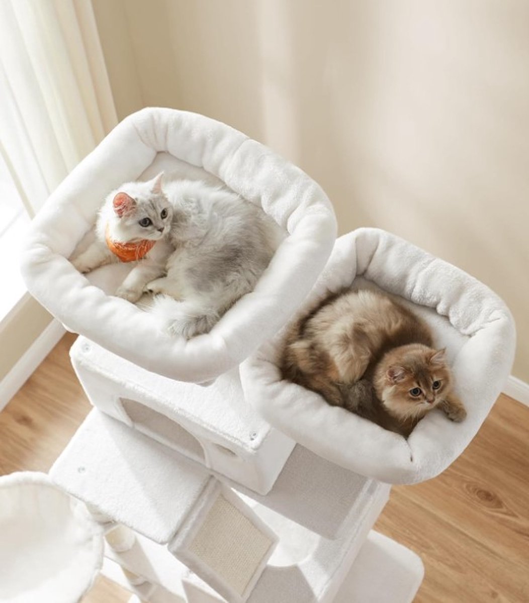 Krabpaal voor zware katten - Hoge krabpaal - Krabpaal boomstam - Krabpaal voor grote katten - Kattentoren - Plafondhoge krabpaal - Stevige krabpaal - Krabpaal voor katten - XXL - Kattenverblijf