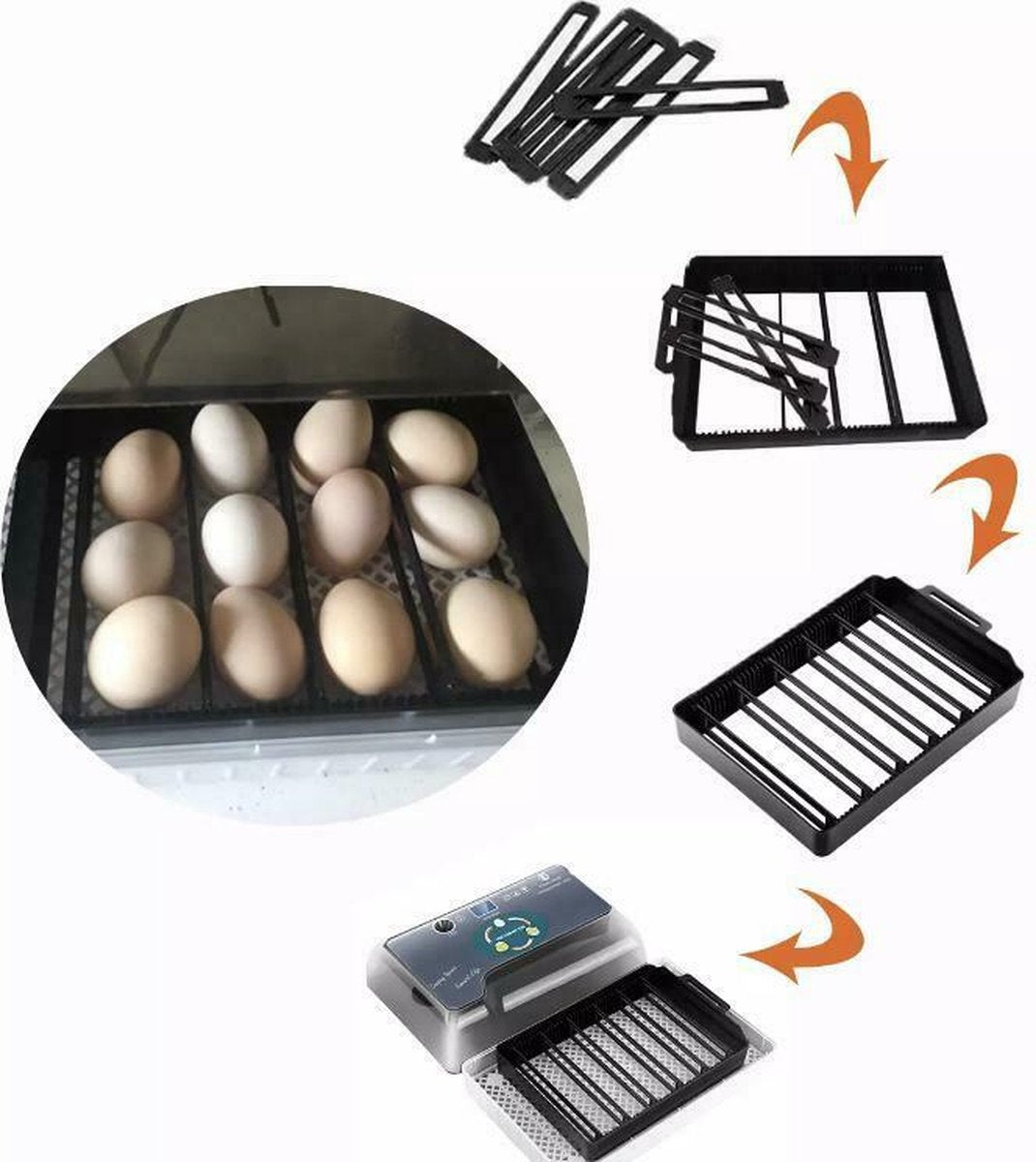 Complete hatching package - 12-egg incubator - including chick starter kit - feeder - hygrometer - Comfort heat plate 25 x 25 cm - chick feed 500 gr