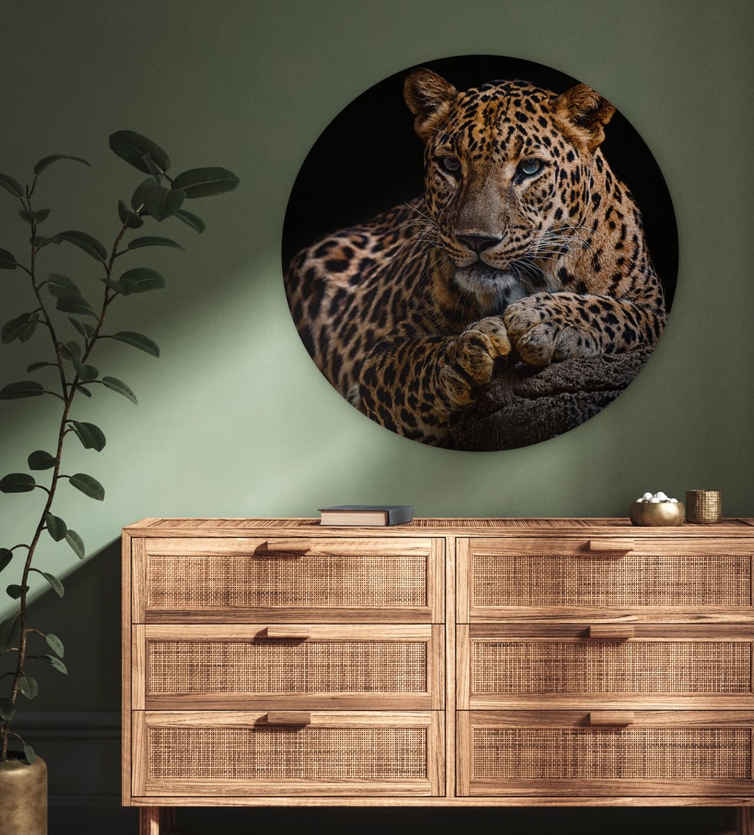 Muurcirkel - Wandcirkel dieren - Luipaard - Boomstam - Dieren - Muurdecoratie - Kunststof - 90x90 cm - Muurcirkel binnen - Ronde schilderijen - Wandcirkel