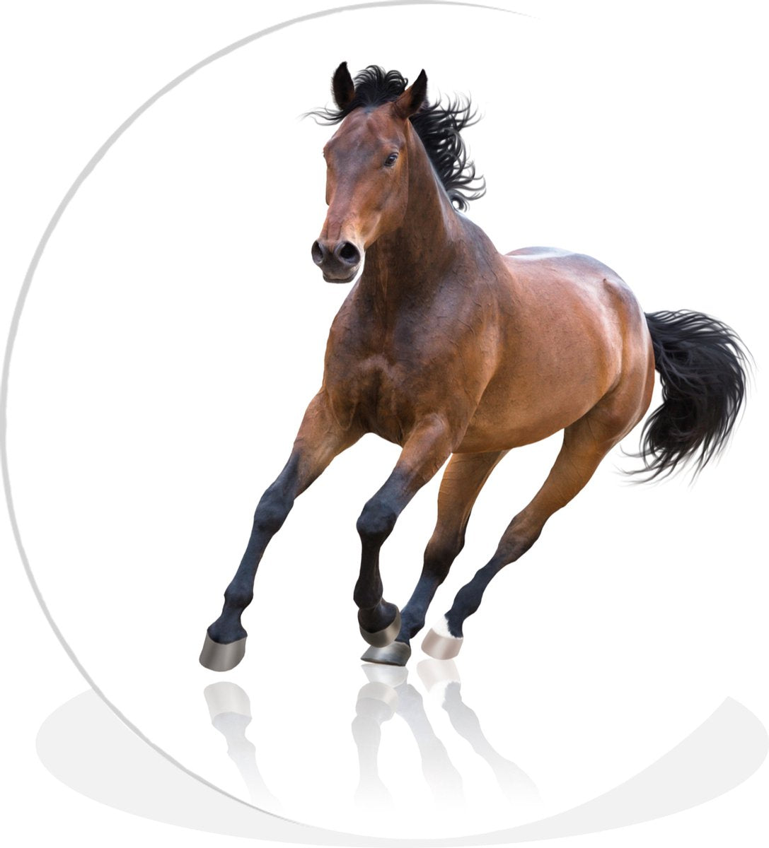WallCircle - Wandcirkel âŒ€ 60 - Paard - Bruin - Wit - Ronde schilderijen woonkamer - Wandbord rond - Muurdecoratie cirkel - Kamer decoratie binnen - Wanddecoratie muurcirkel - Woonaccessoires