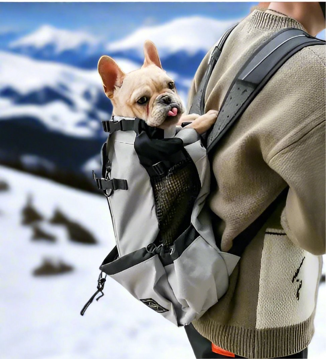 Dog backpack - dog carrier - grey - S