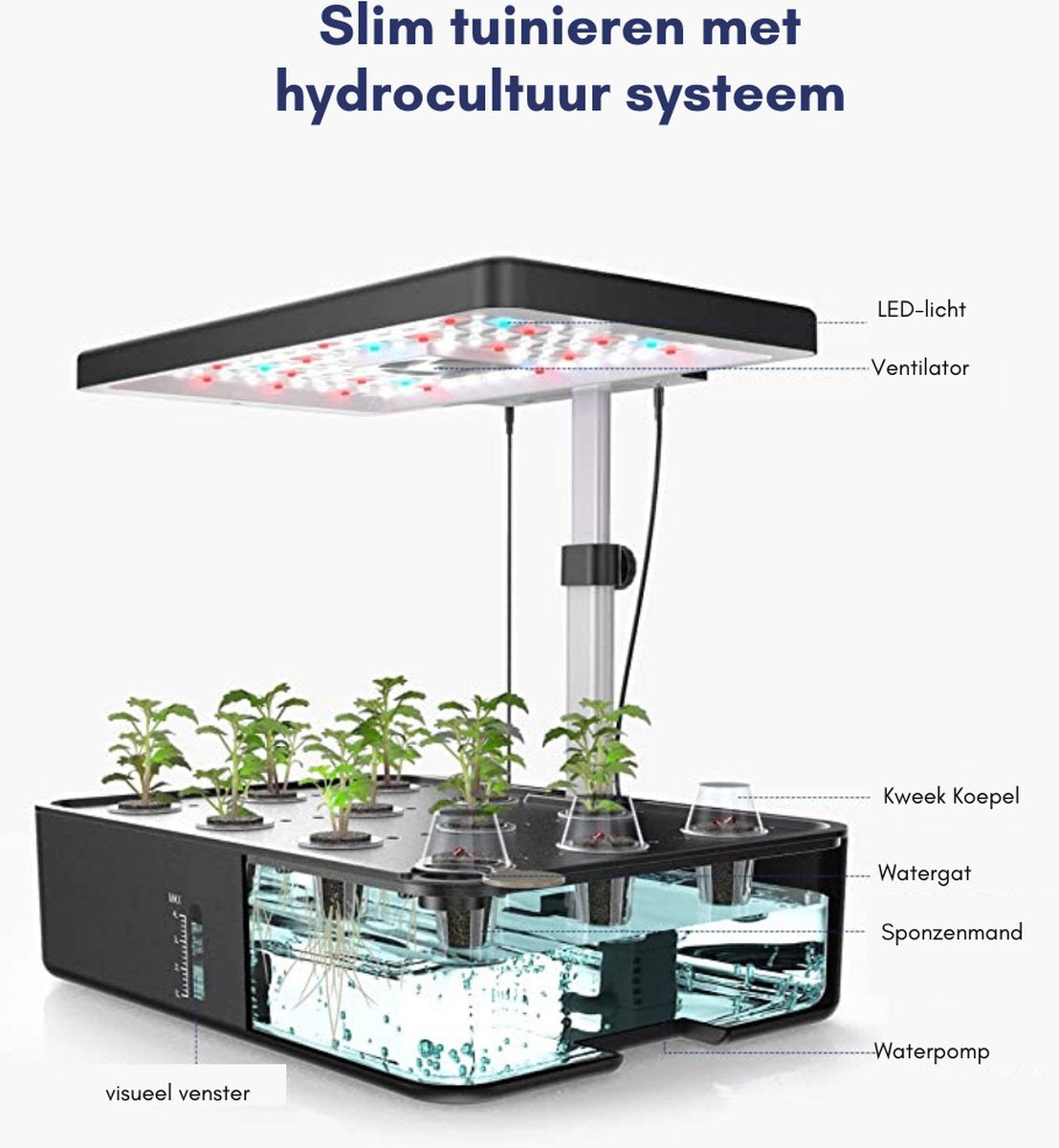 Kweekbak - Tuinbak - Indoor Kruidentuinkit - Hydrocultuur Kweeksysteem - Led-Groeilicht voor Thuiskeuken - 12 Pods - Automatische Timer Kiemkit - In Hoogte Verstelbaar