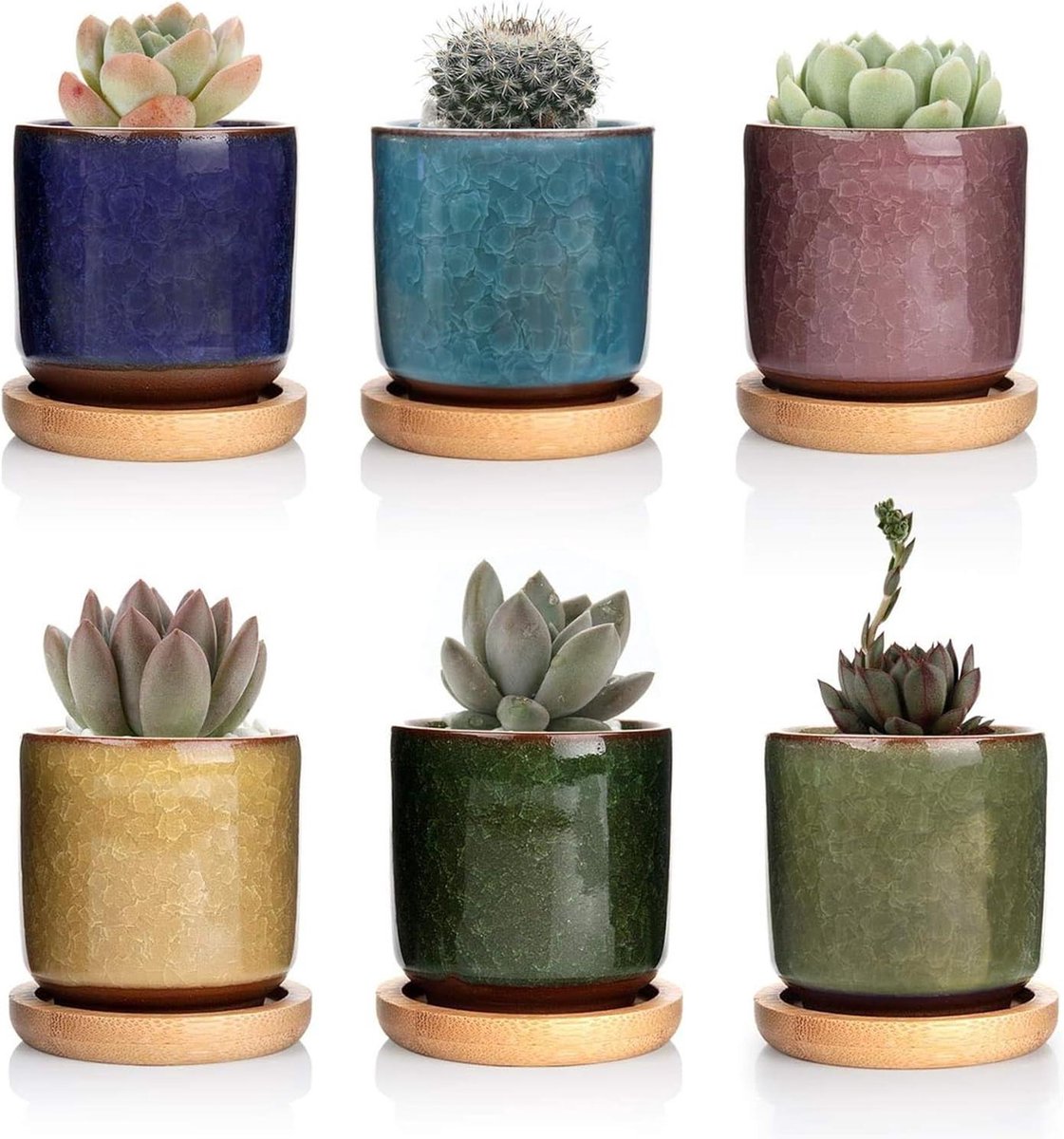 6CM Gekleurde Keramiek Succulente Plantenpot Set van 6 - Binnen Vetplant Bloempot met Bamboe Onderzetter en Afvoergat voor Sappige Planten - Decoratief Geschenk Bloempot