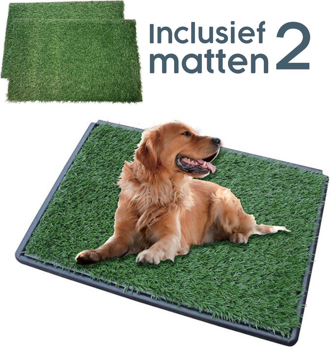Gtrise Hondentoilet Met 2 Matten - Out/Indoor - Zindelijkheidstraining Ebook - Dieren Wc