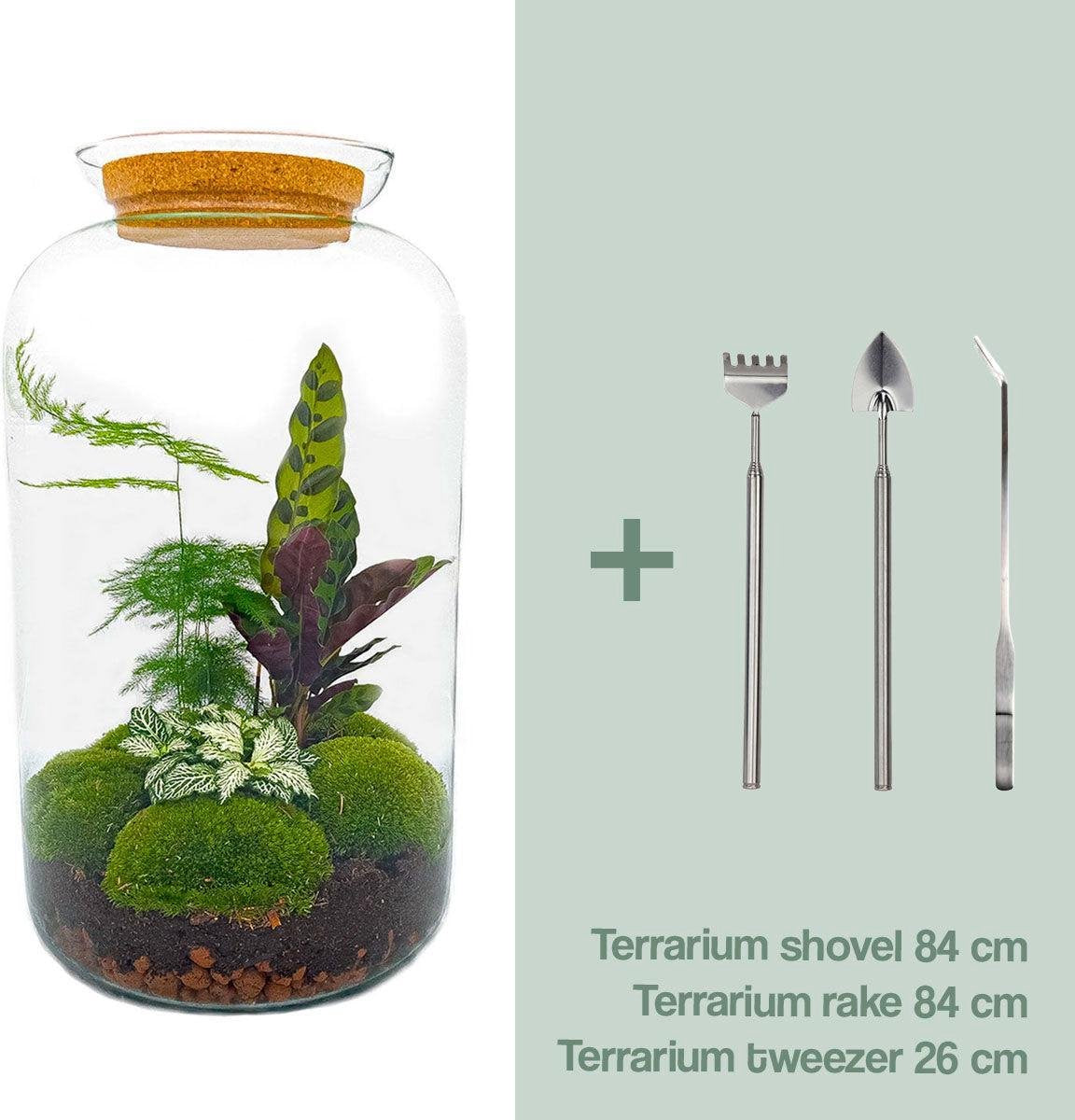 DIY terrarium - Botanical Sven XL - ↑ 43 cm