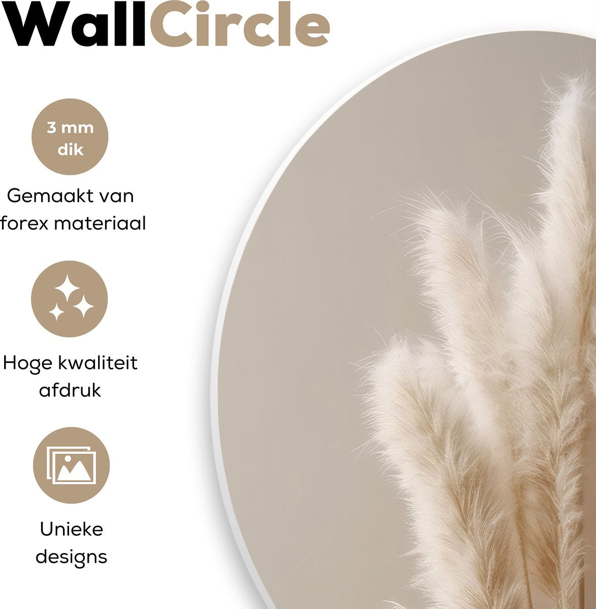 WallCircle® Wandcirkel 60x60 cm - Muurcirkel Pampasgras - Pluimen - Planten - Pastel - Aardtonen - Muurdecoratie cirkel woonkamer - Wanddecoratie slaapkamer - Kamer decoratie accessoires - Ronde schilderijen binnen - Woonaccessoires