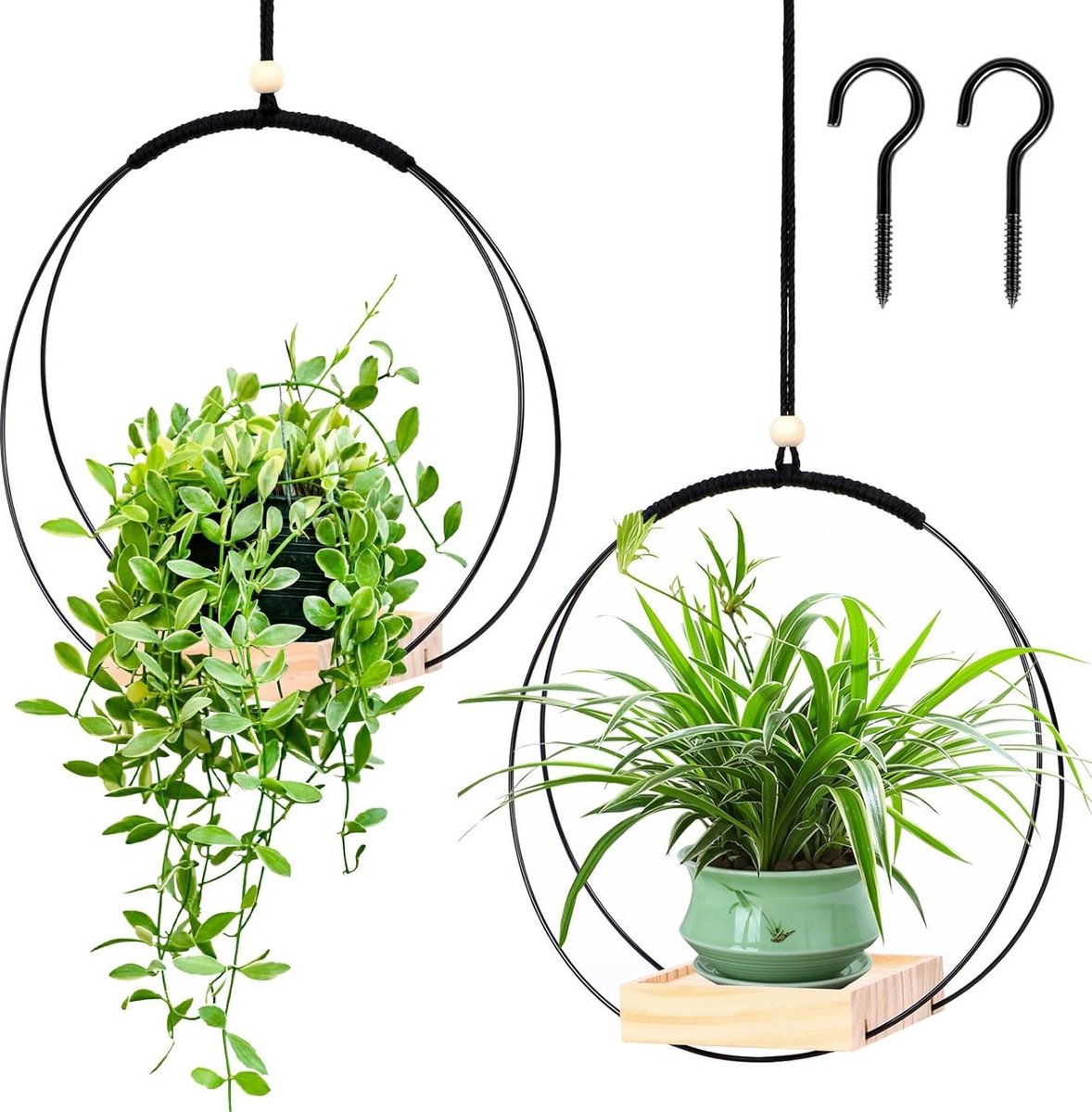 Hanging planters - 2 Sumotia pieces with wooden base metal ring and hanging loop - round black planters for indoors, walls and ceilings