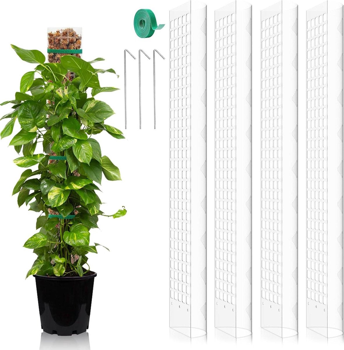 Climbing aid Monstera - 4 pieces - 61 cm - Moss stick plants - Moss sticks set - Houseplant moss pole - Plastic - DIY - White