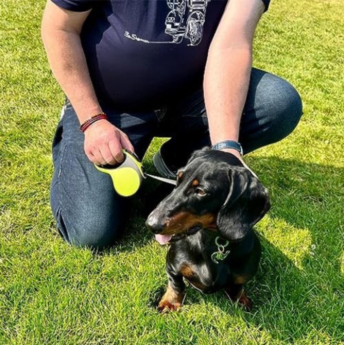 Hondenriem 8 Meter - Flexibele Hondenriem - Rollijn Hond 8 Meter