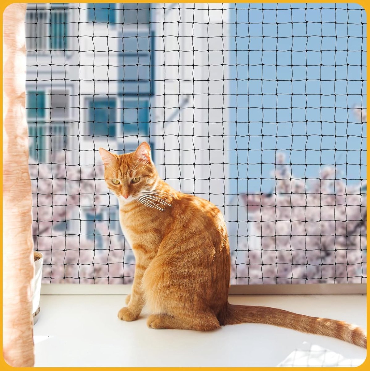 Kattennet