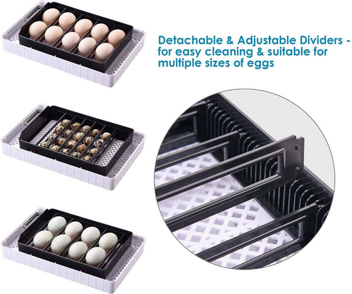 Complete hatching package - 12-egg incubator - including chick starter kit - feeder - hygrometer - Comfort heat plate 25 x 25 cm - chick feed 500 gr