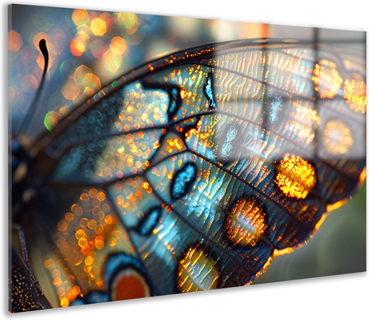 Butterfly painting - Animal glass paintings - Glass painting Light - Paintings on glass industrial - Plexiglass paintings - Paintings & posters acrylic glass 60x40 cm