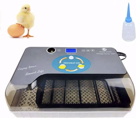 Smart Incubator for eggs - automatic rolling system with integrated candling lamp and water bottle