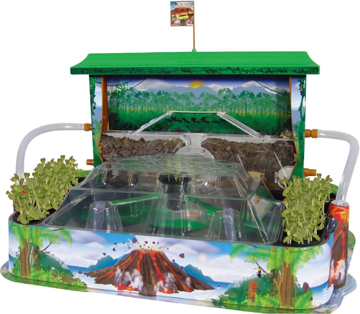 Mierenboerderij - Ant Farm - Mierennest - Mierenhuis - Mierenhotel - Mierenkolonie - Premium
