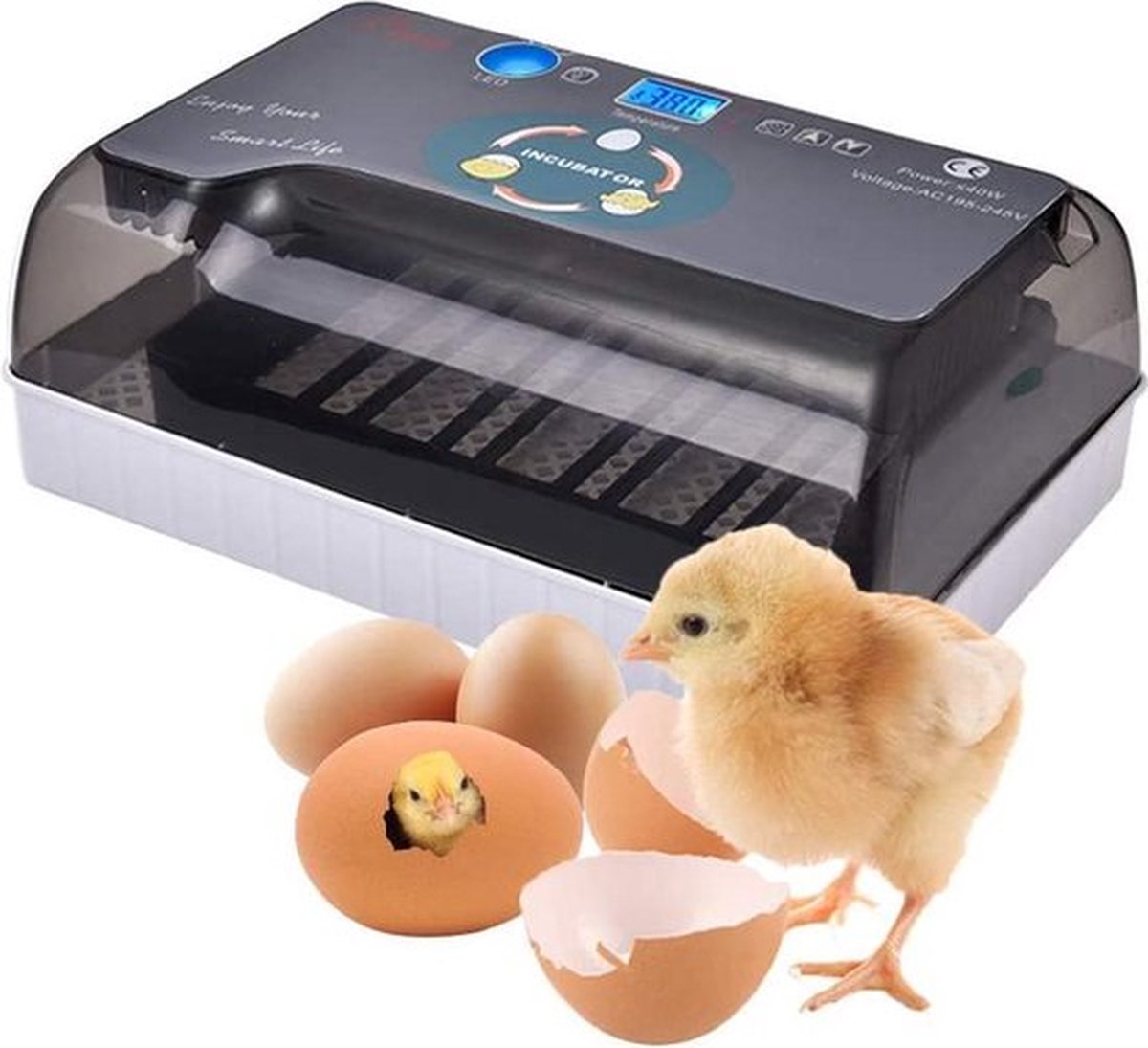 Automatic Egg Incubator with Heating Plate Incubator with Luxury Hygrometer - Up to 60 Eggs