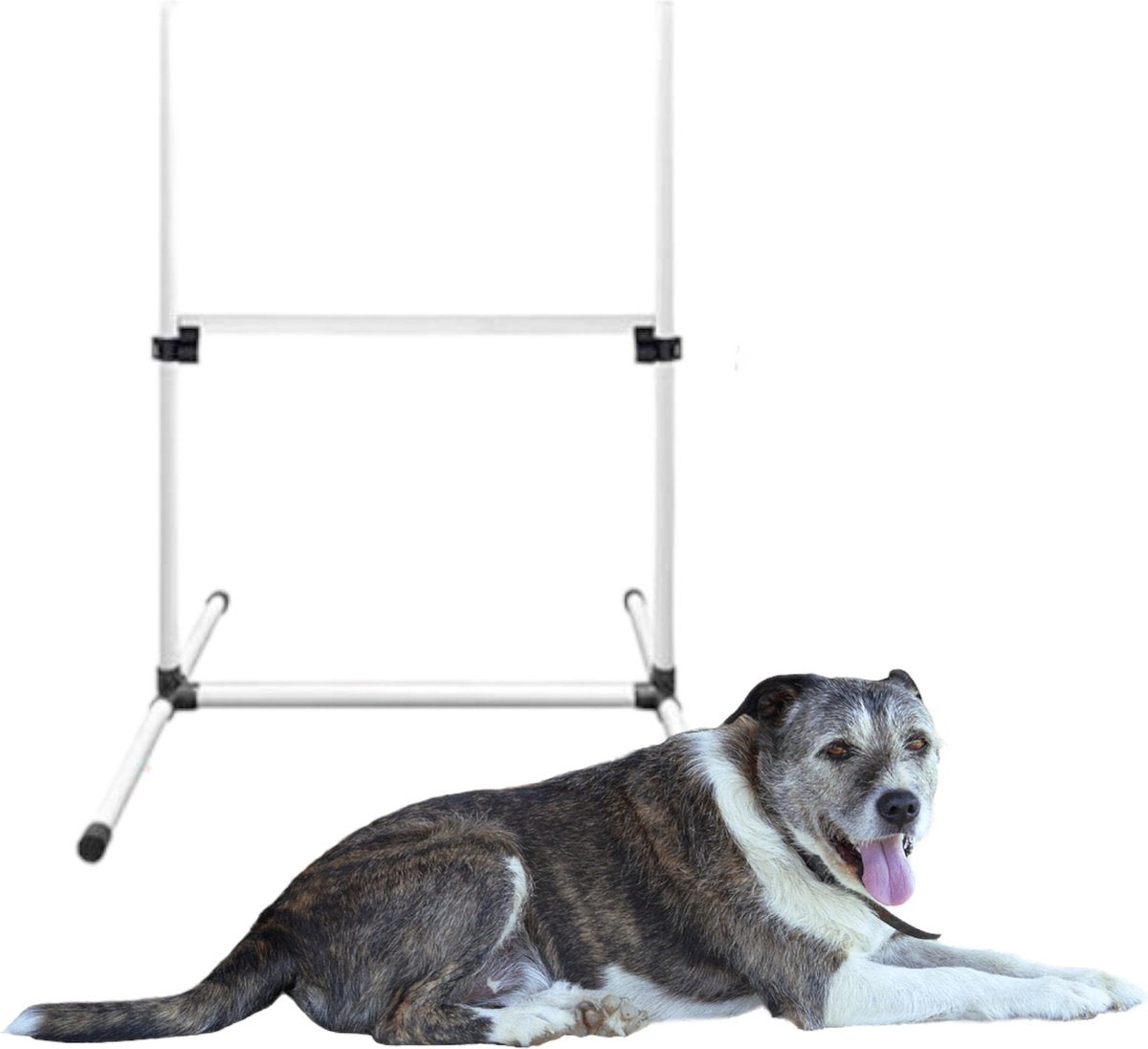 Agility for Dogs - Complete Set Including Carry Bag - Dog Training - Dog Slalom - Agility Set for Dogs