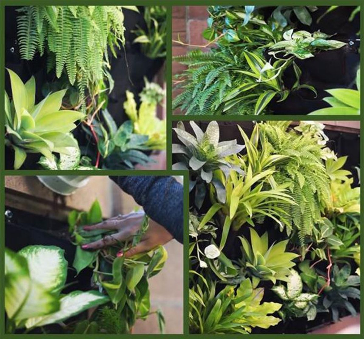 Verticale tuin met 35 extra grote vakken - 165cm x 100cm - verticale tuin - zwart - groene wand - groene muur - verticale moestuin zakken - plantenhanger balkon - plantenbak - plantenzak 1.65x1 meter Beactiff®