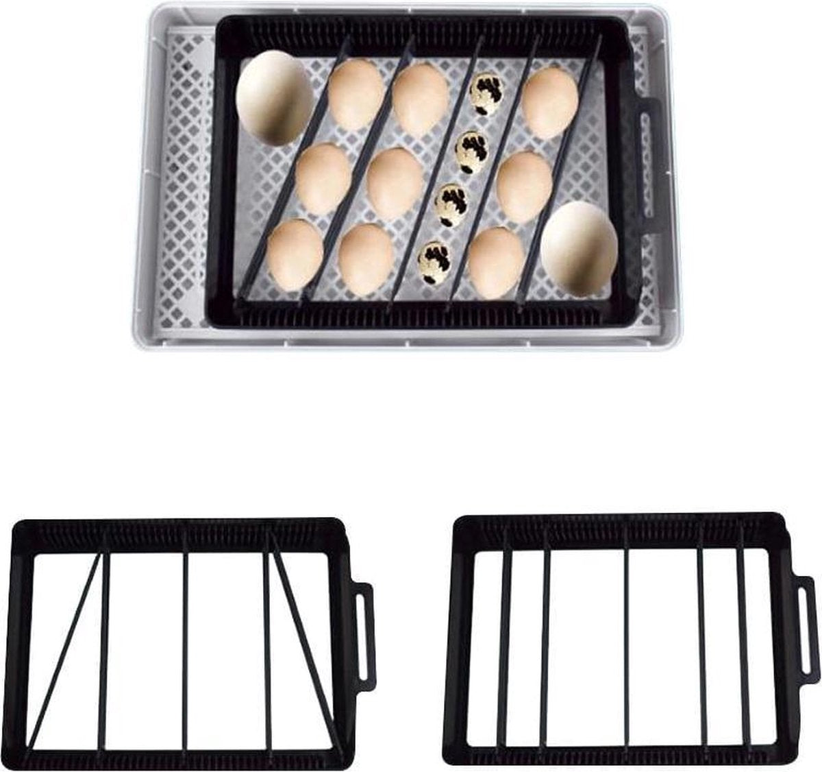 Smart Incubator for eggs - automatic rolling system with integrated candling lamp and water bottle