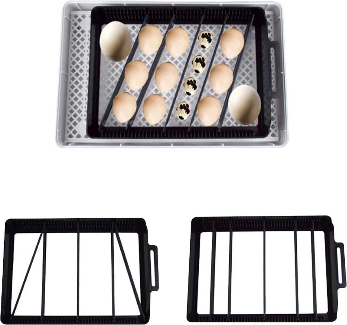 Complete hatching package - 12-egg incubator - including chick starter kit - feeder - hygrometer - Comfort heat plate 25 x 25 cm - chick feed 500 gr