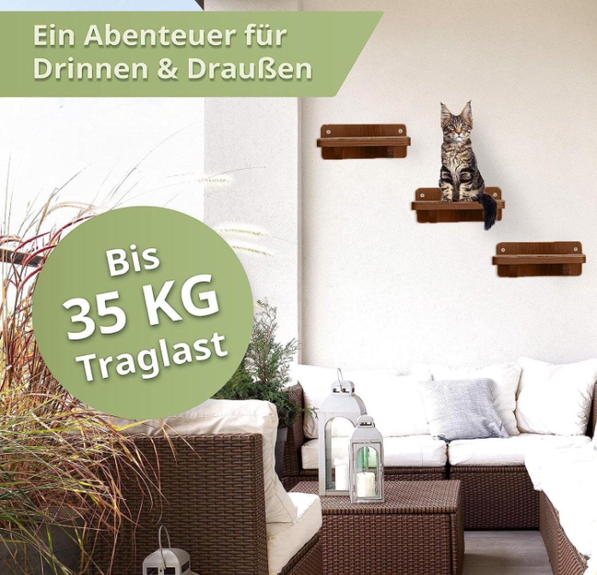 Climbing wall cats I cat ladder set of 3 I wall climbing wall I cat ladder I extra parts for cat wall climbing I size M | scratching post wood modern