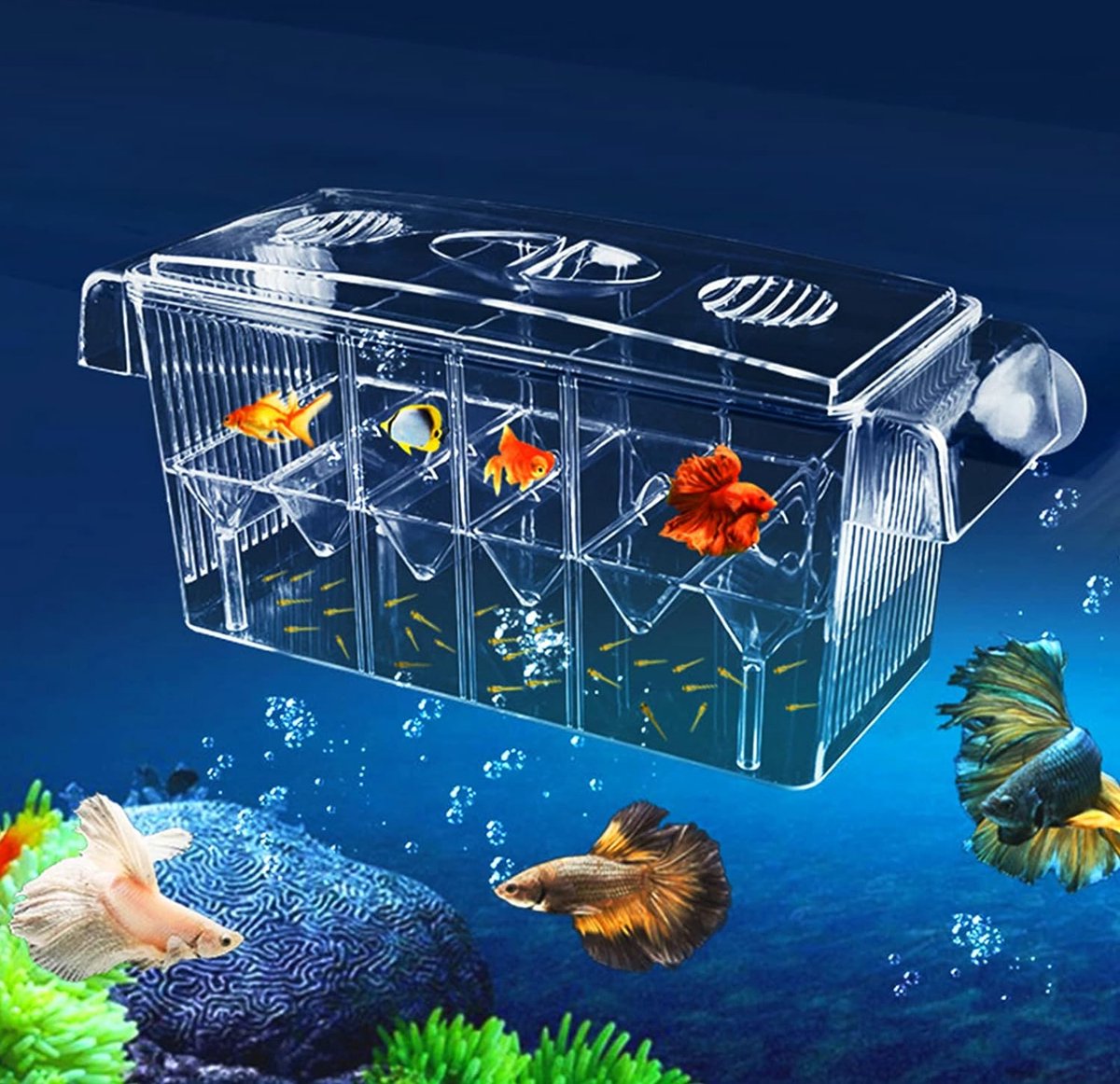 Fish breeder box with suction cups, breeding box aquarium, fish breeding box aquarium, fish hatchery, fish breeding box, breeding tank, aquarium for baby fish, shrimp and guppy