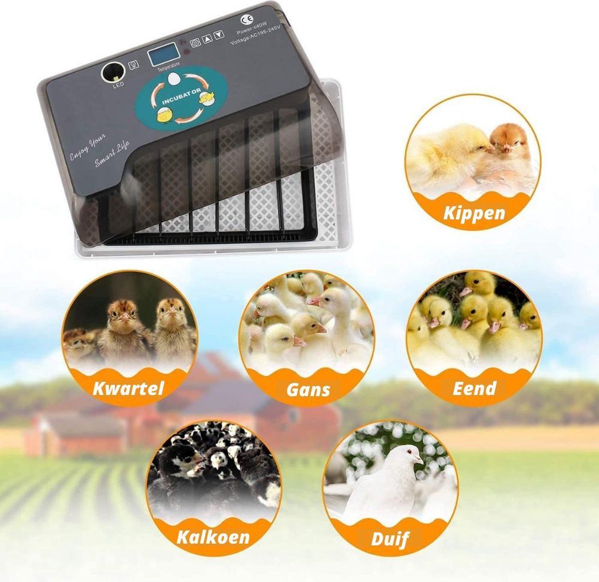Automatic Egg Incubator with Heating Plate Incubator with Luxury Hygrometer - Up to 60 Eggs