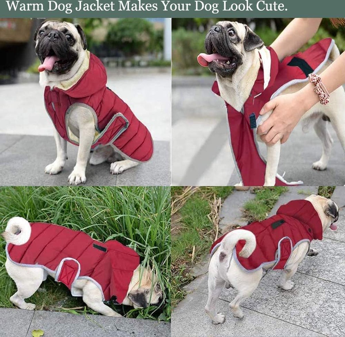 Etechydra Dog Coat, Reflective, Detachable Hood, Waterproof, Winter, Fleece, Warm Jacket, for Small, Medium, and Large Dogs, Red, M