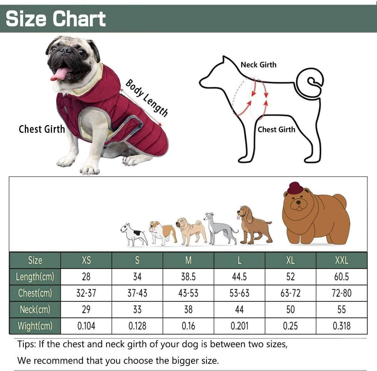 Etechydra Dog Coat, Reflective, Detachable Hood, Waterproof, Winter, Fleece, Warm Jacket, for Small, Medium, and Large Dogs, Red, M