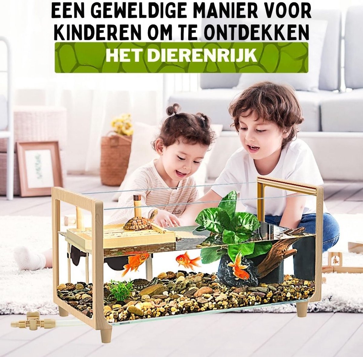 Schildpadden Verblijf - Schildpadden Aquarium - Schildpadden Terrarium - Schildpad – Schildpadbak - Turtle bank - Reptielenverblijf - 40 x 25 x 25 x 30 cm