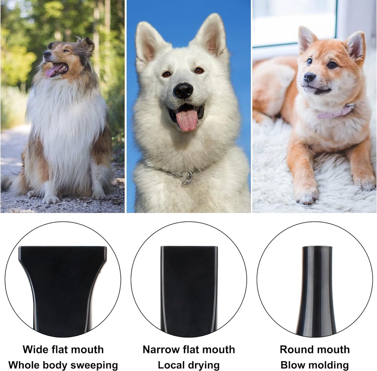 Professional Dog Hair Dryer - Water Blower for Dogs - Dog Hair Dryer with 4 Nozzles - 2800W Adjustable Power - Black